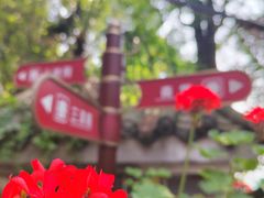 -老君山