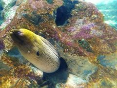 -北戴河圣蓝海洋公园