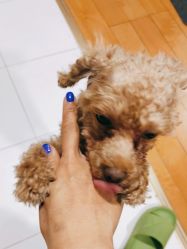 -悦指间美甲美睫