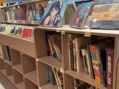 -浣熊唱片店(上海影城店)