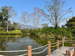 -中国科学院西双版纳热带植物园