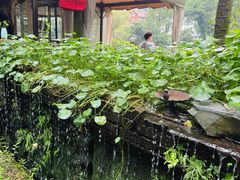 -野蔓果·山野菜(西湖景区·龙井茶田店)