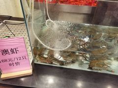 -阿胖龙虾(罍街店)