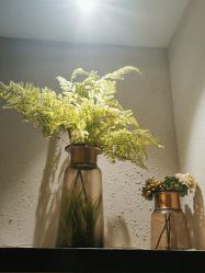 -香秀空间科技抗衰·美容中心