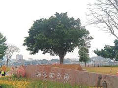 -洲头咀公园
