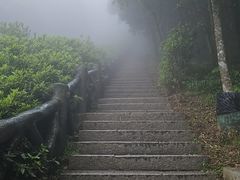 -梧桐山风景名胜区