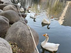 -长安大学(北校区)