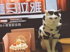 -黑池口感烘焙·生日蛋糕(坂田店)
