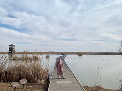 -盐城丹顶鹤湿地生态旅游区