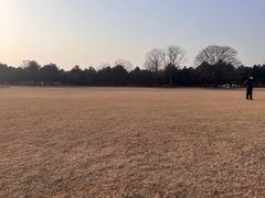 -石家庄市植物园