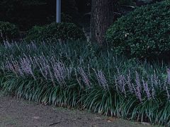 -中国茶叶博物馆(双峰馆区)