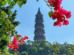 -顺峰山公园