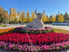 -永定河休闲森林公园