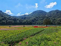 -广州市石门国家森林公园