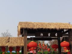 -香雪海