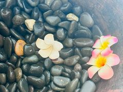 -泰禾馨·泰式按摩精油SPA(华荣大厦店)