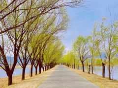 -野鸭湖国家湿地公园