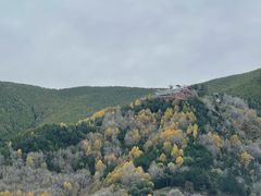 -五台山风景名胜区