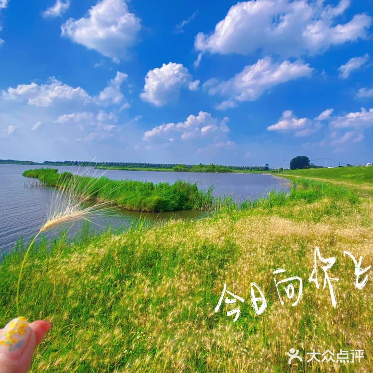 看荷花的好地方！