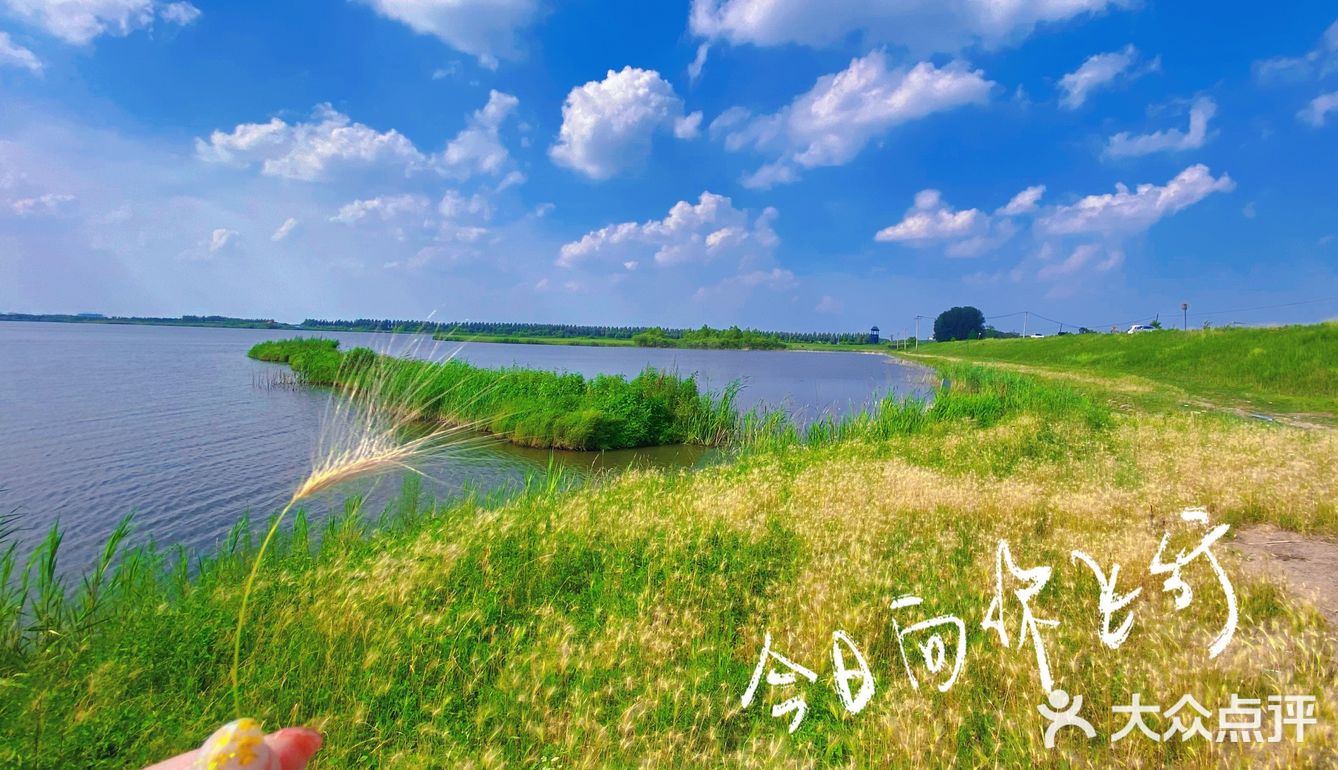 看荷花的好地方！