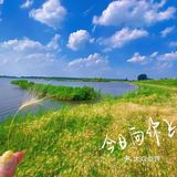 看荷花的好地方！