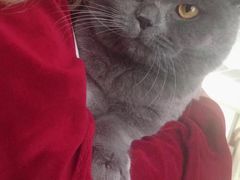 -Rabbit Cafe私房西餐甜点咖啡(栖霞路店)