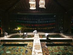 -中家鑫园温泉酒店鑫悦汤泉