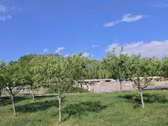 -石家庄市植物园
