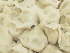 -李记饺子·熏酱东北菜(欢乐谷店)