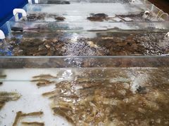-阔澜蒸汽海鲜自助