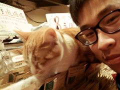 -猫的天空之城概念书店(西塘古镇店)