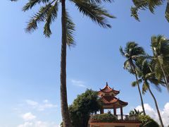 -东郊椰林