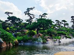 -罗红摄影艺术馆