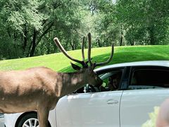 -北京野生动物园