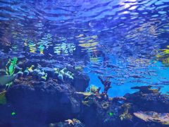 -华夏文旅海洋公园