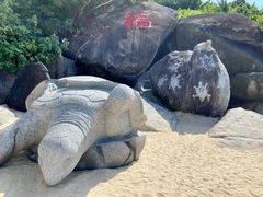 -海南分界洲岛旅游区