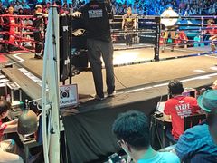 -芭提雅MAX泰拳馆