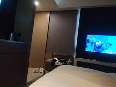 -南京禄口机场雅高铂尔曼大酒店