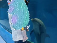 -福州罗源湾海洋世界旅游区