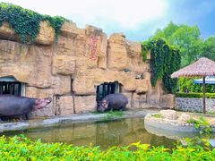 -沈阳森林动物园