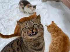 -终南山南五台景区