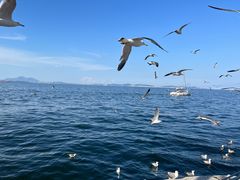 -大连海昌东方水城