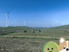 -草原天路(张北县)