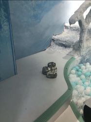 -绿野星空儿童乐园