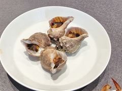 -连鹭海鲜·海肠捞饭·海胆饭(星海店)