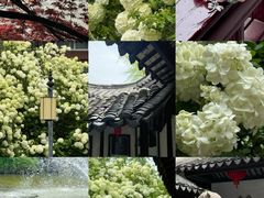 -常熟方塔园