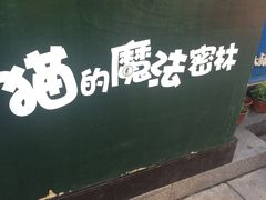 -猫的魔法密林(衣裳街店)