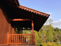 -东莞植物园