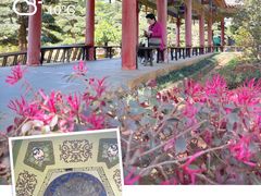 -华雅花园大酒店