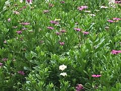 -万达影城(银兴菲林店)